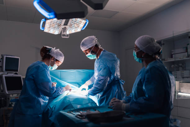 Experienced Brazilian Butt Lift Surgeons Transforming Your Body Safely