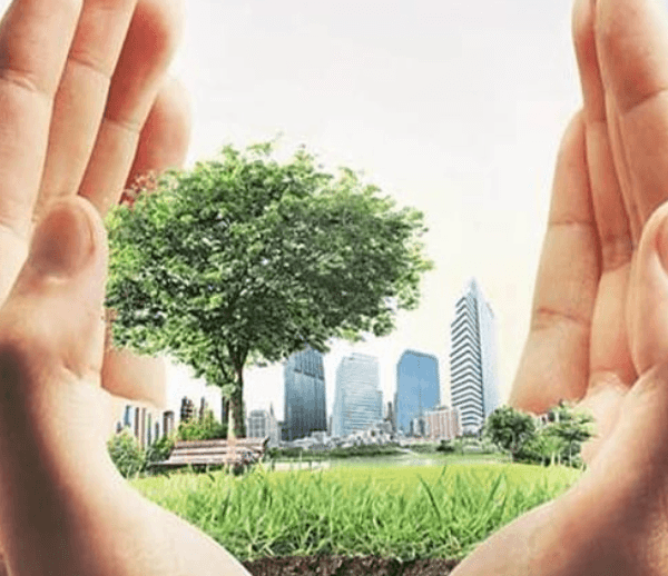 5 Steps Toward a Sustainable Future for All