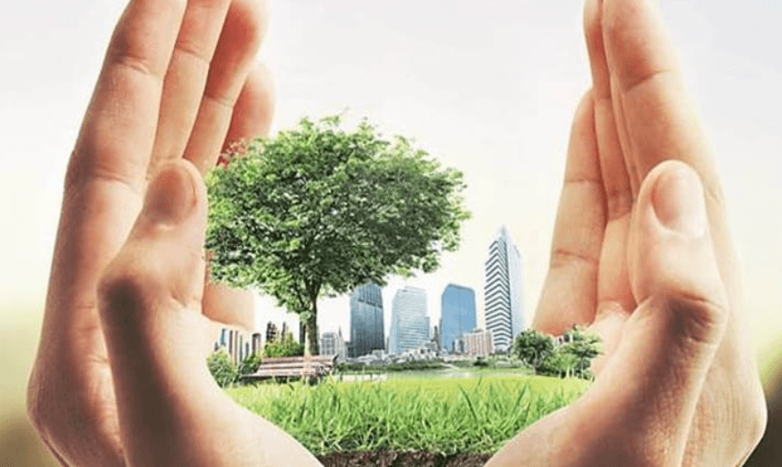 5 Steps Toward a Sustainable Future for All